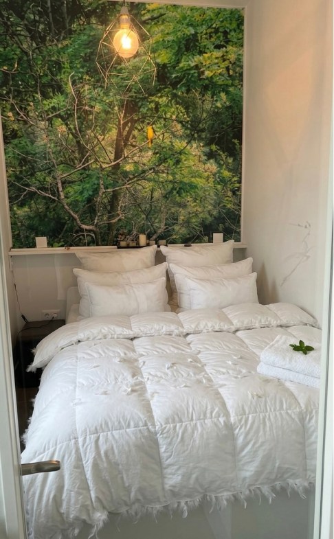 704